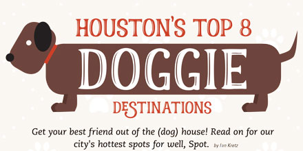Houston's Top 8 Doggie Destinations